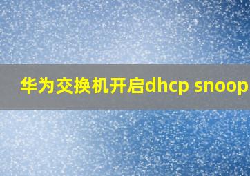 华为交换机开启dhcp snooping